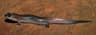 Desmognathus fuscus
