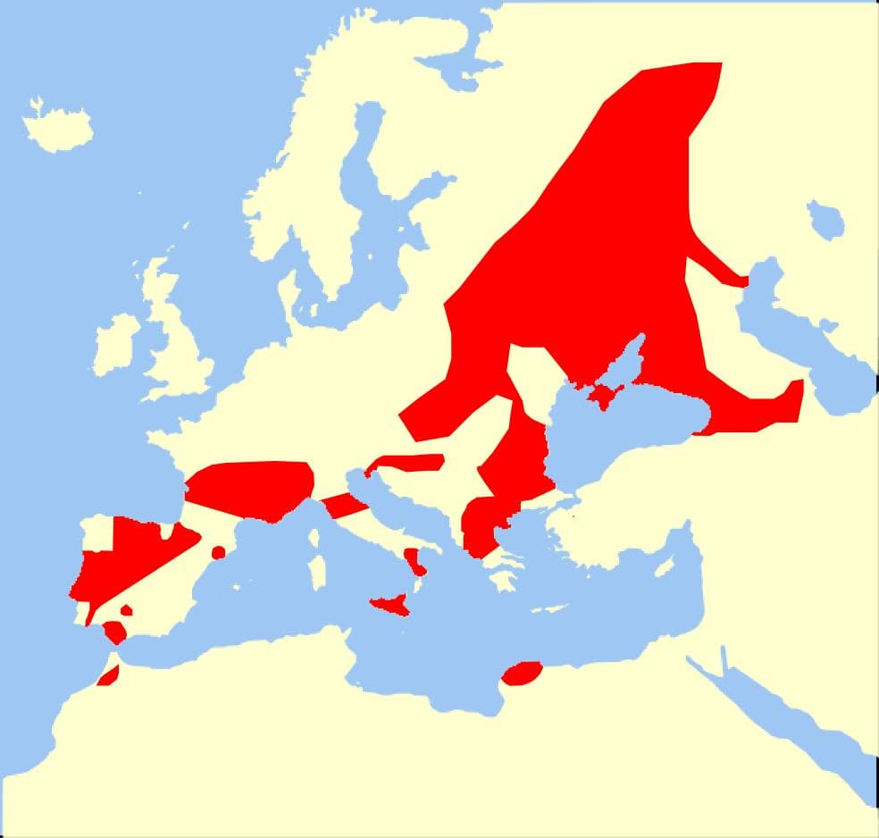 Jättenattskärra — 3/3